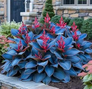 Хоста Грин Фог купить по цене от 669р. в интернет-магазине «Посадика» с доставкой почтой в в Ожерельее и по всей России – [изображение №1].